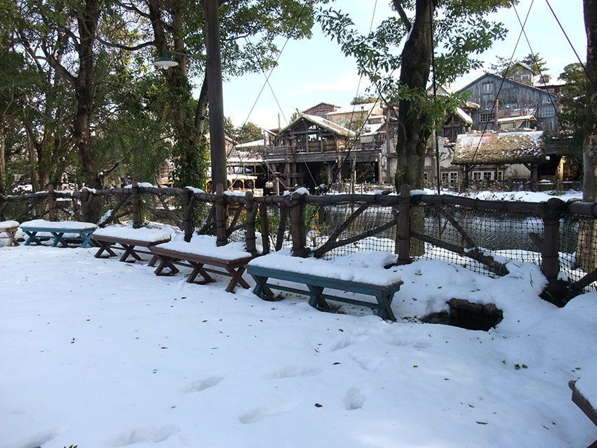 過去画像「2014年2月のディズニーシー雪編」_b0059664_21352306.jpg