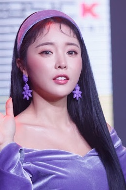 人気美人歌手 ホン・ジニョン 鼻整形し過ぎ?顔の変遷史 一緒に住んでるお姉さん登場! 頬骨削り _f0158064_23515782.jpg