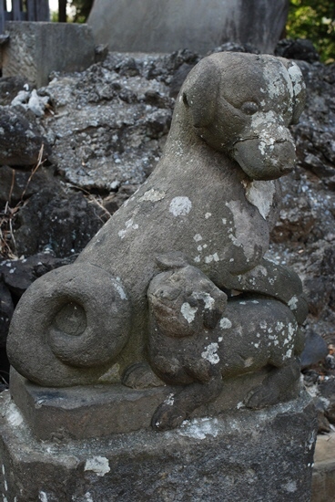 　　橘樹神社の和犬狛犬さん。　　_c0150974_16290345.jpg