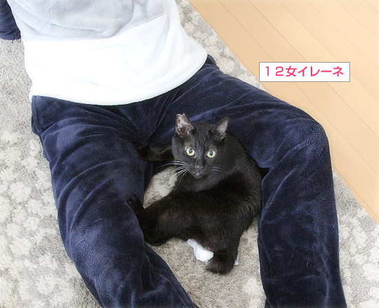 大好きな居場所_a0389088_09013436.jpg