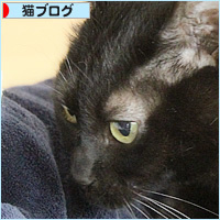 大好きな居場所_a0389088_09013518.jpg