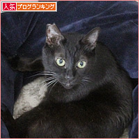 大好きな居場所_a0389088_09013599.jpg
