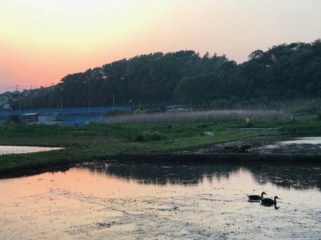 散歩はちょっと時間を遅らせて_f0242002_17255692.jpg