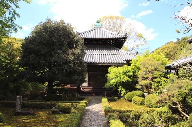 安楽寺　青もみじ_e0048413_18120448.jpg