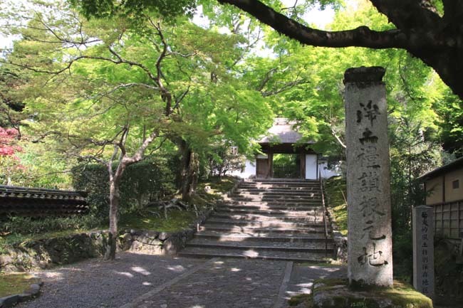 安楽寺　青もみじ_e0048413_18122946.jpg