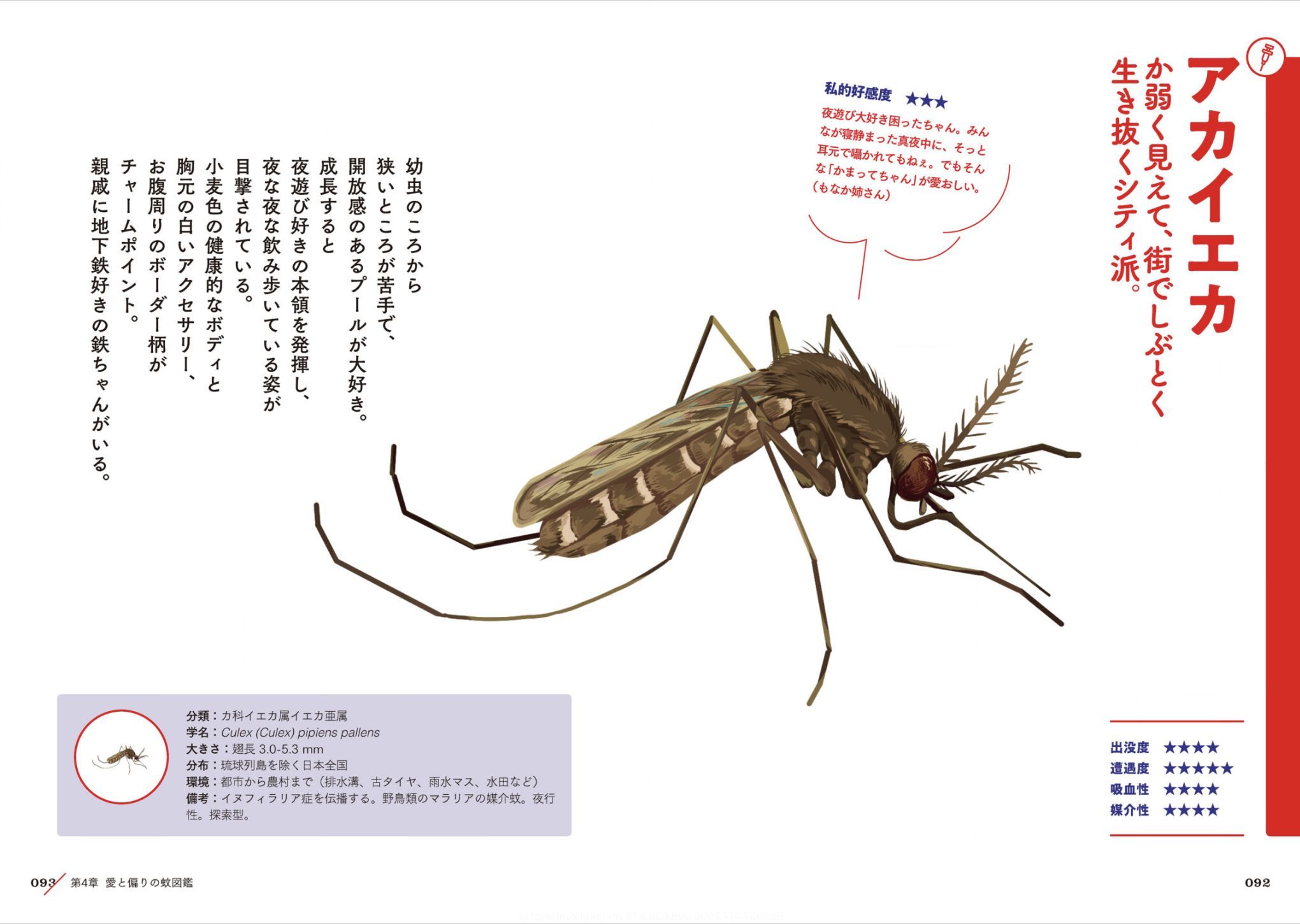 今日はなんの日?_c0025115_22325882.jpg