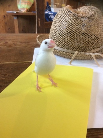 連休2日目 と3日目_a0033722_18453248.jpeg