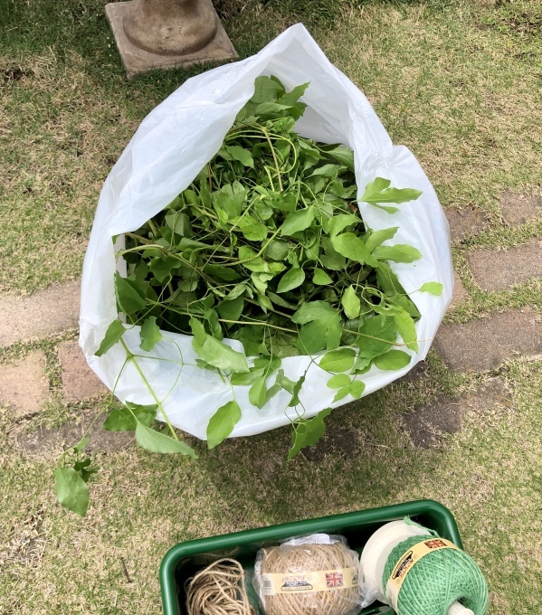 1番お高いのに見えないプランター(T . T)と、クレマチスも続々開花♡_a0396654_22514445.jpeg