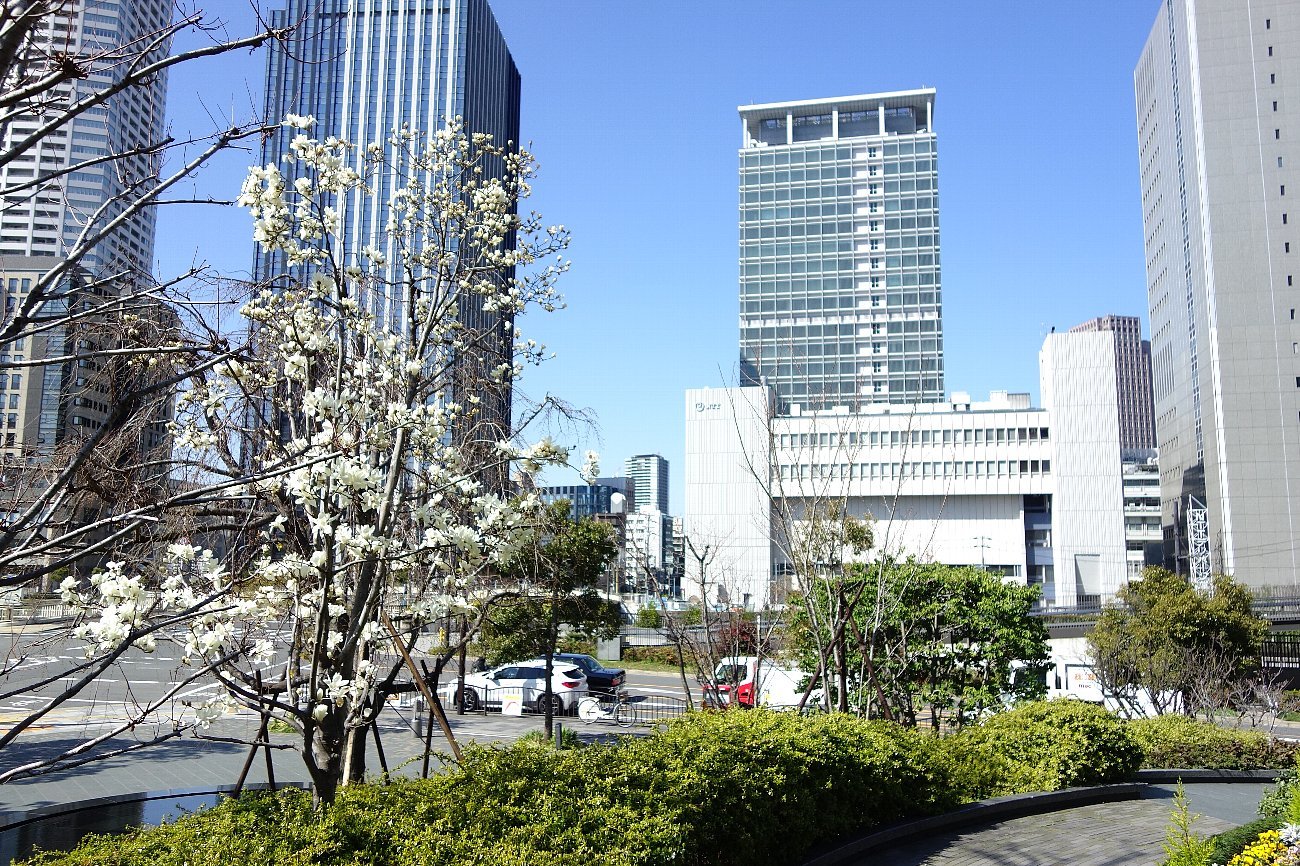 中之島四季の丘 レトロな建物を訪ねて