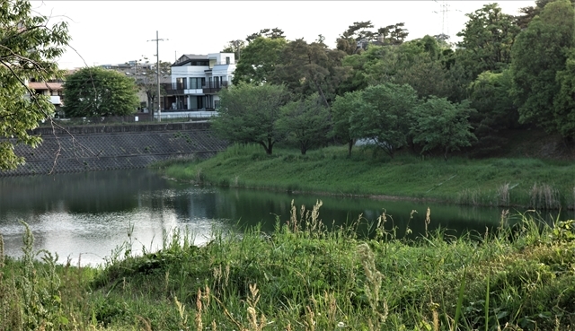 マダムも知っていた 火垂るの墓 のニテコ池 清水博子 Vanity 阪急 阪神沿線文学散歩