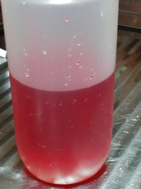 果実酢(せとかとレッドビーツ)_c0162773_11141196.jpg