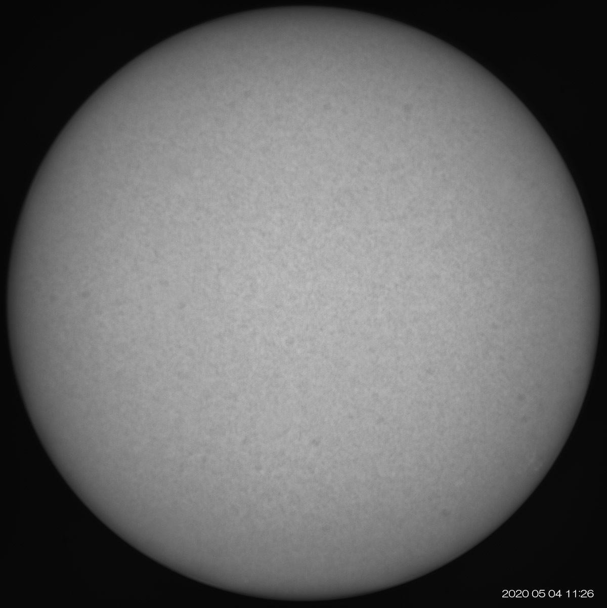 5月4日の太陽 久しぶりの立派なプロミネンス!_e0174091_14345844.jpg