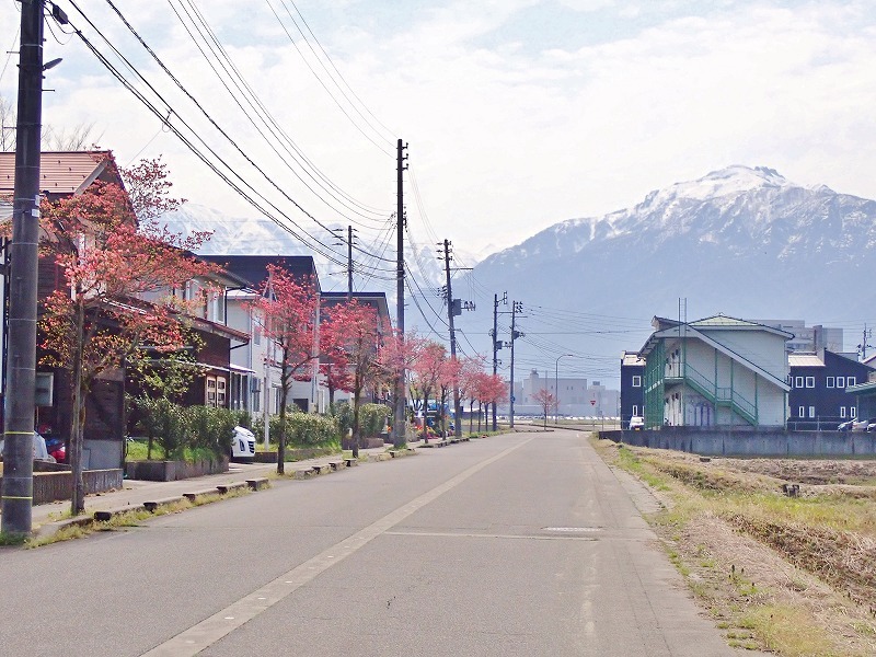 5月1日は市報の「配送日」でした_c0336902_19214521.jpg
