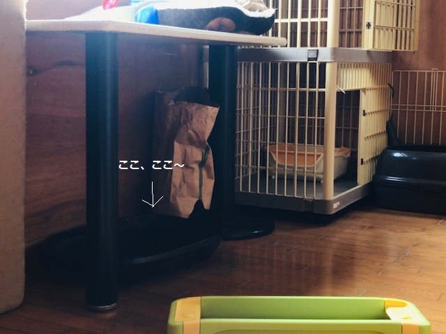 クロネコ楽々丸くんのご紹介です_f0242002_22173522.jpg