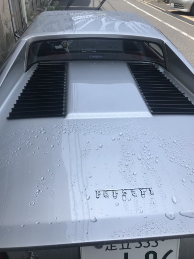 洗車のすすめ_a0129711_17263459.jpg