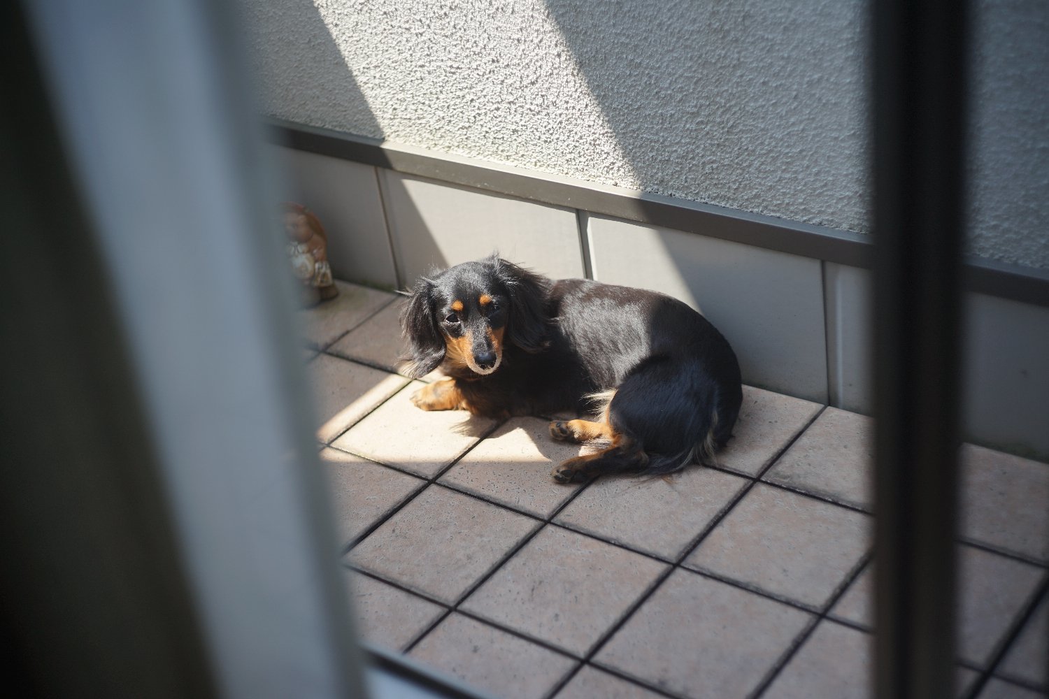 DR ズミクロン 50mmF2 の 描写と トプコン R_b0069128_08480353.jpg