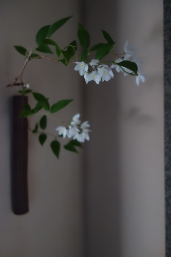 立夏_a0197730_23350897.jpg