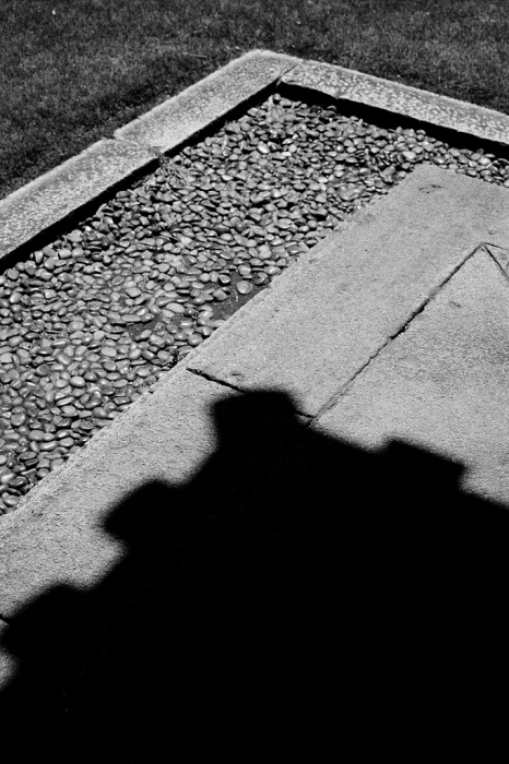 YouTube My フラッグシップ 列伝 Nikon F6_f0050534_22350081.jpg