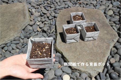 環境にやさしく Youtube付き新聞紙で作る 育苗ポット 身の丈暮らし 築60年の中古住宅とともに 環境にやさしく Youtube付き新聞紙で作る 育苗ポット 身の丈暮らし 築60年の中古住宅とともに