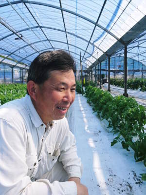 樹上完熟の朝採りトマト 元気に育成長中!そして、新品種のトマトを定植したとのこと!さっそく現地取材! _a0254656_18110648.jpg