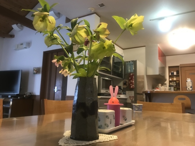 私の Stey home _b0100062_07420221.jpeg