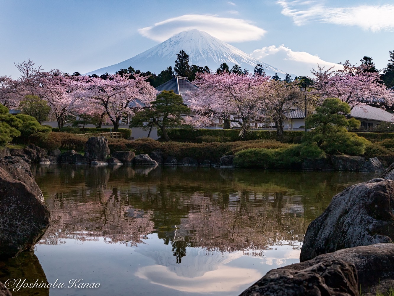 大石寺の桜と富士山 写真ブログ 四季の詩