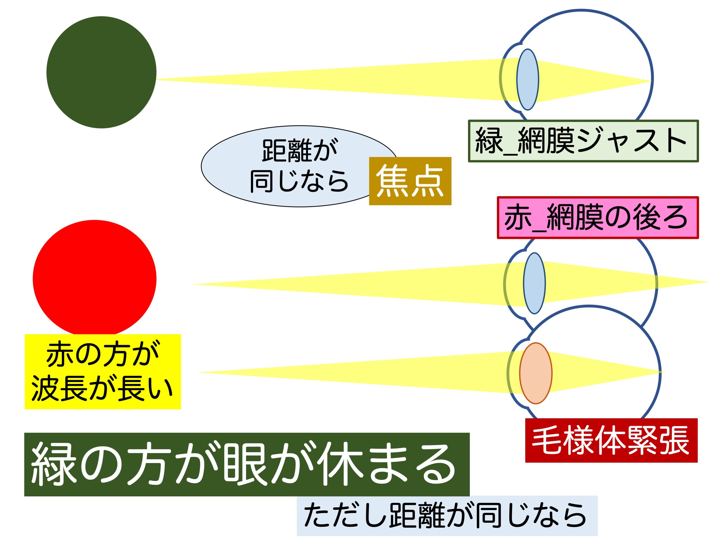 余談4 眼に良いとは_a0257968_13074530.jpeg