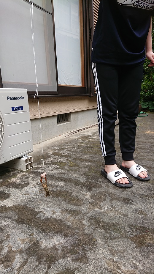 過ごし方_f0172281_6282420.jpg