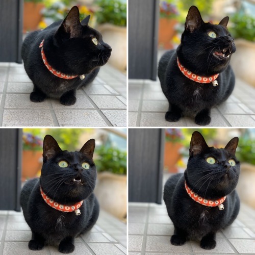 呼んでみるけど_e0358096_20153376.jpeg
