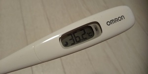 頑張れ 神戸魂 Domani