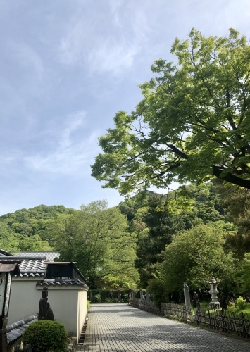 立夏_a0197730_01300929.jpeg