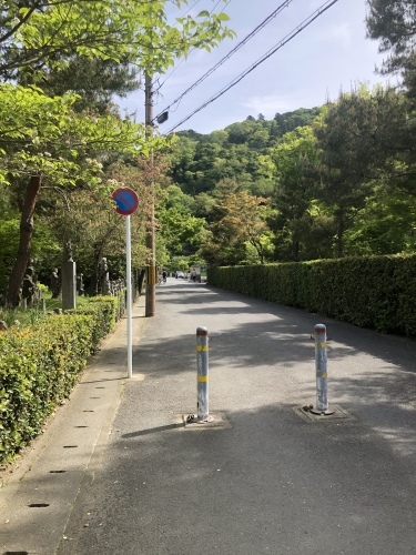 立夏_a0197730_01302902.jpeg