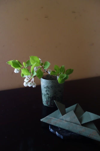 立夏_a0197730_01320841.jpeg