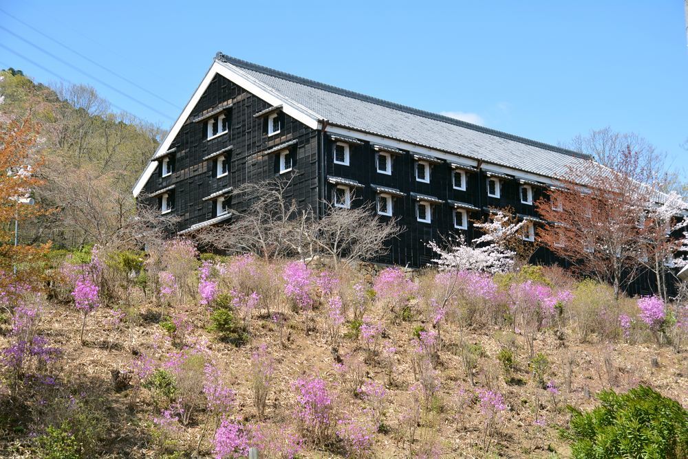 菊の世酒造と春の花々_e0373930_10342968.jpg