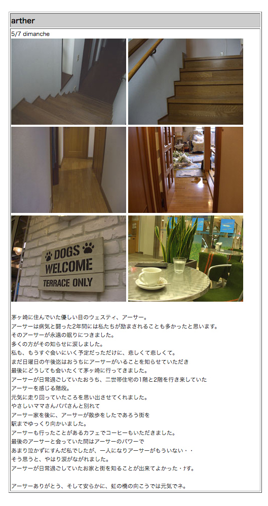 永遠の眠りについていたアーサーに。_b0107163_10212399.jpg