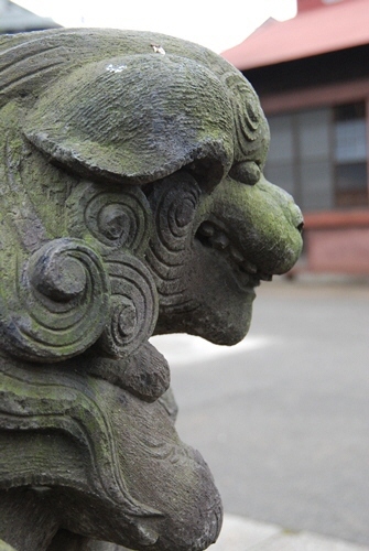 　　八杉神社の狛犬さん　その２。　　_c0150974_11582933.jpg