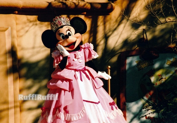 懐古 ディズニー プリンセス プロセッション ブーケ オブ ラブ ｒｕｆｆ ｒｕｆｆ Pluto Love