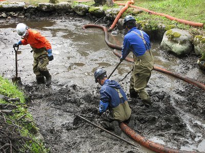 毘沙門堂「弁天池」泥上げ・清掃_b0092684_10100858.jpg