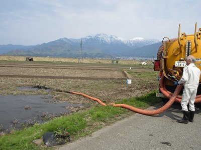 毘沙門堂「弁天池」泥上げ・清掃_b0092684_10102465.jpg