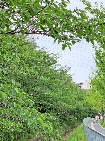 おやつのじかん と のんびりちゃん、まだ見れた♪_d0249193_22011569.jpg
