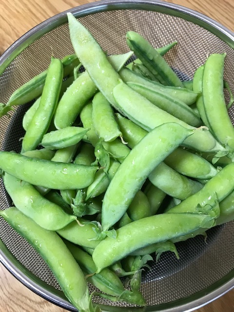 豆ご飯_f0204295_14534696.jpg