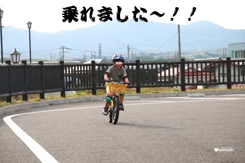 とらとら珍道中柔の道 番外編~とら、男になるの巻~_c0140599_19130613.jpg