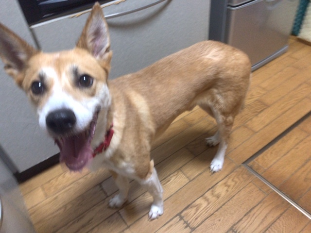 大の苦手_f0242002_09140467.jpg