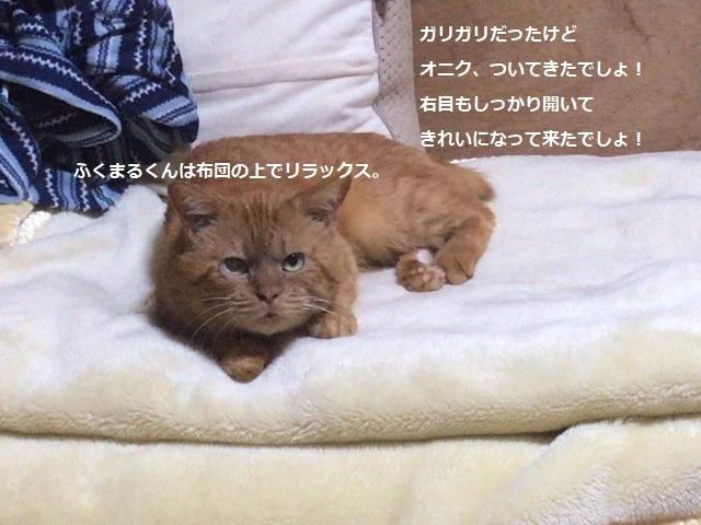 大の苦手_f0242002_09240168.jpg