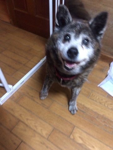 大の苦手_f0242002_20242058.jpg