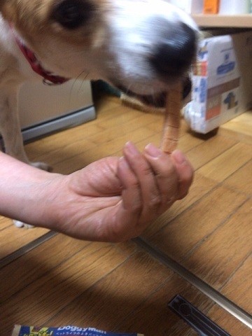 大の苦手_f0242002_20253224.jpg