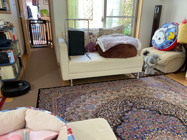 ルンバ君お仕事中_f0335306_11005251.jpg