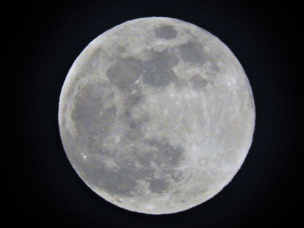 今夜は満月 写真撮り隊の今日の一枚２