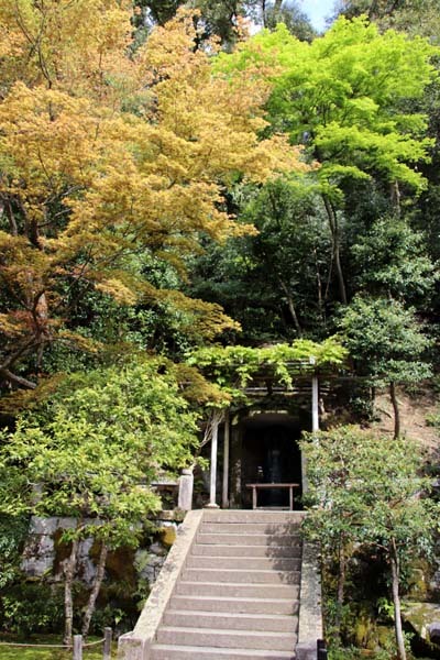 法然院 新緑の盛り_e0048413_21262070.jpg