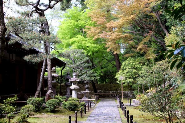 法然院 新緑の盛り_e0048413_21262402.jpg